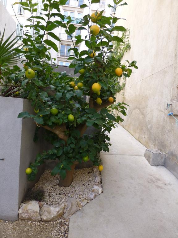 Holiday home L'orangeraie Et La Palmeraie D'endoume Marseille